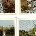 Scan0013